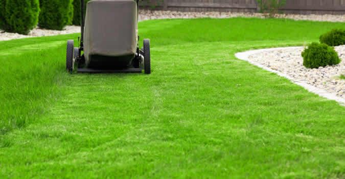Lawn Care San Antonio Tx Chop, Full Service Landscaping Schertz Tx